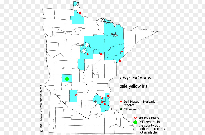 Map Line Land Lot Point Tuberculosis PNG