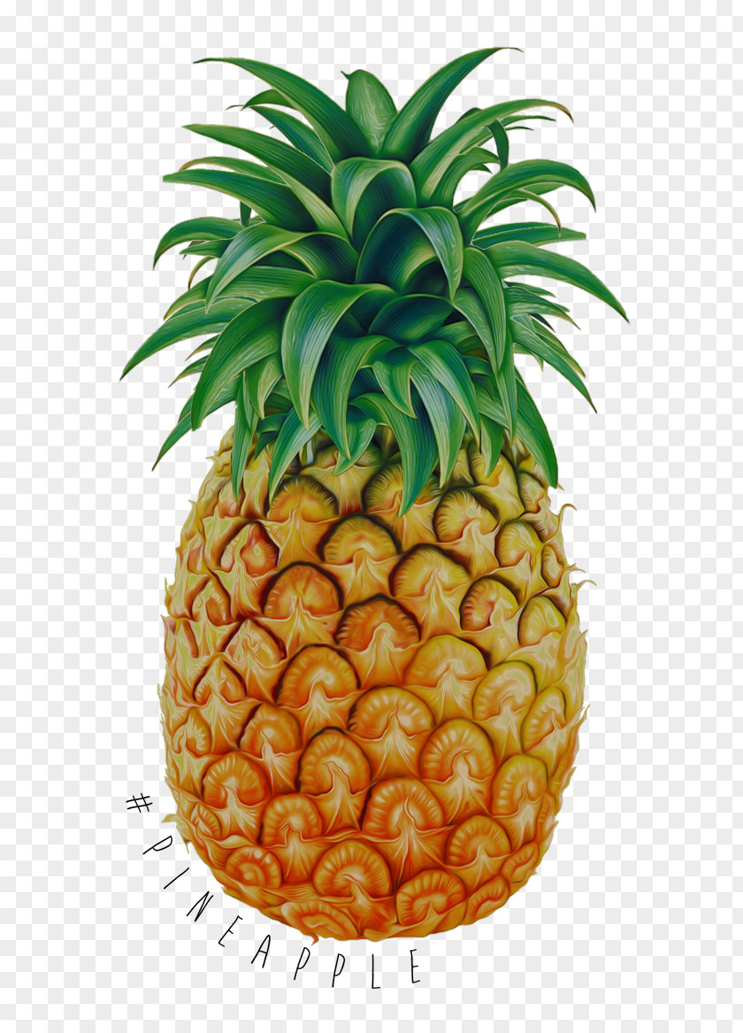 Pineapple Tropical Fruit Drawing PNG