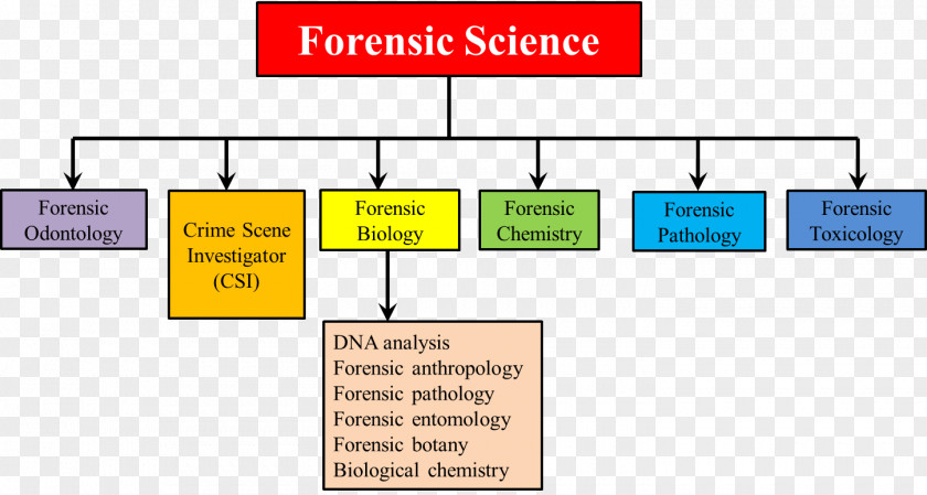 Sociology Forensic Science Pathology Dentistry Chemistry PNG