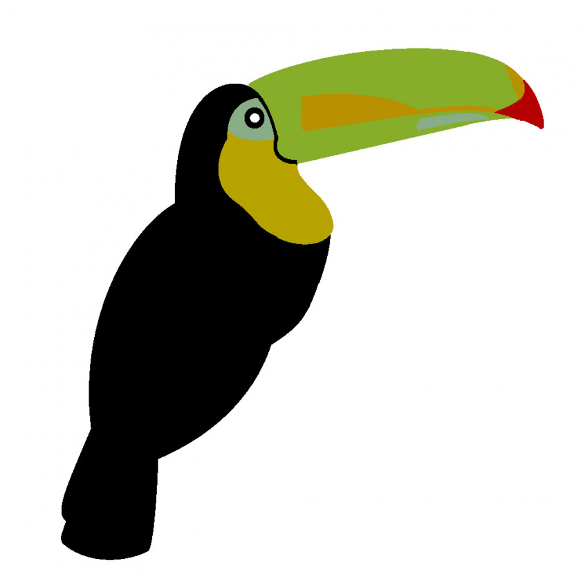 Toucan Outline Keel-billed Common Ostrich Bird Toco Penguin PNG