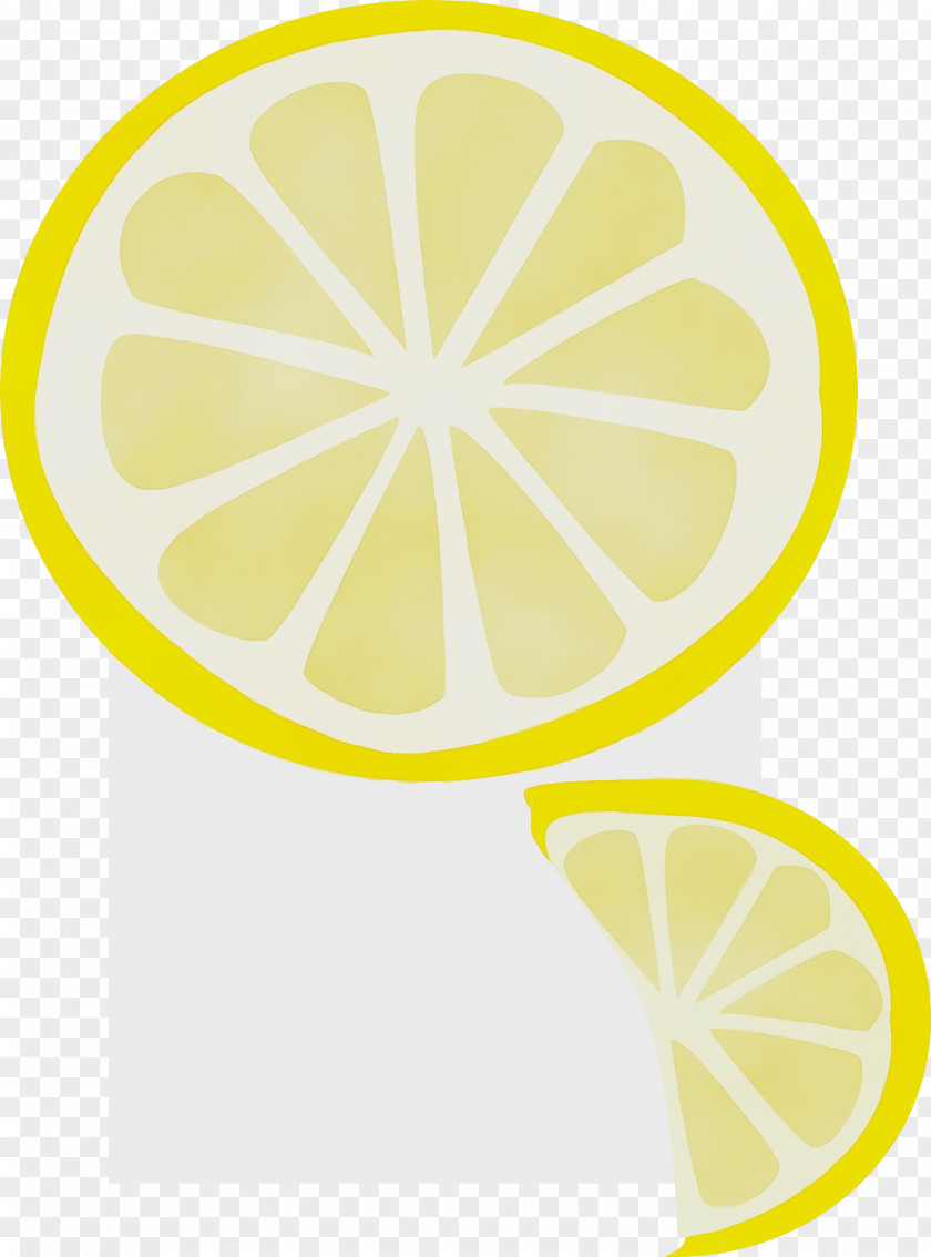 Citron Plant Watercolor PNG