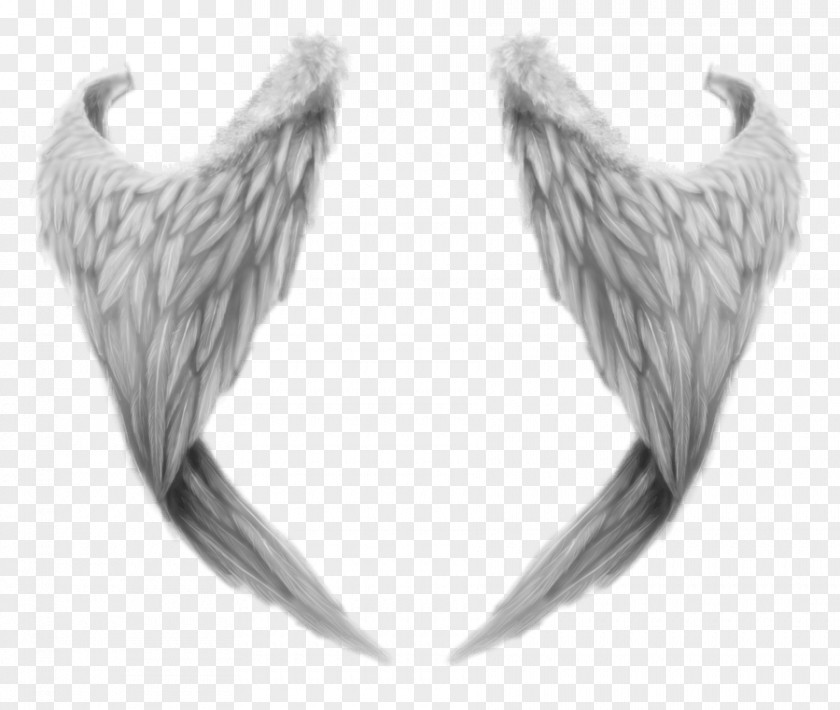 Fantasy Angel Wings PNG Wings, gray wings artwork clipart PNG