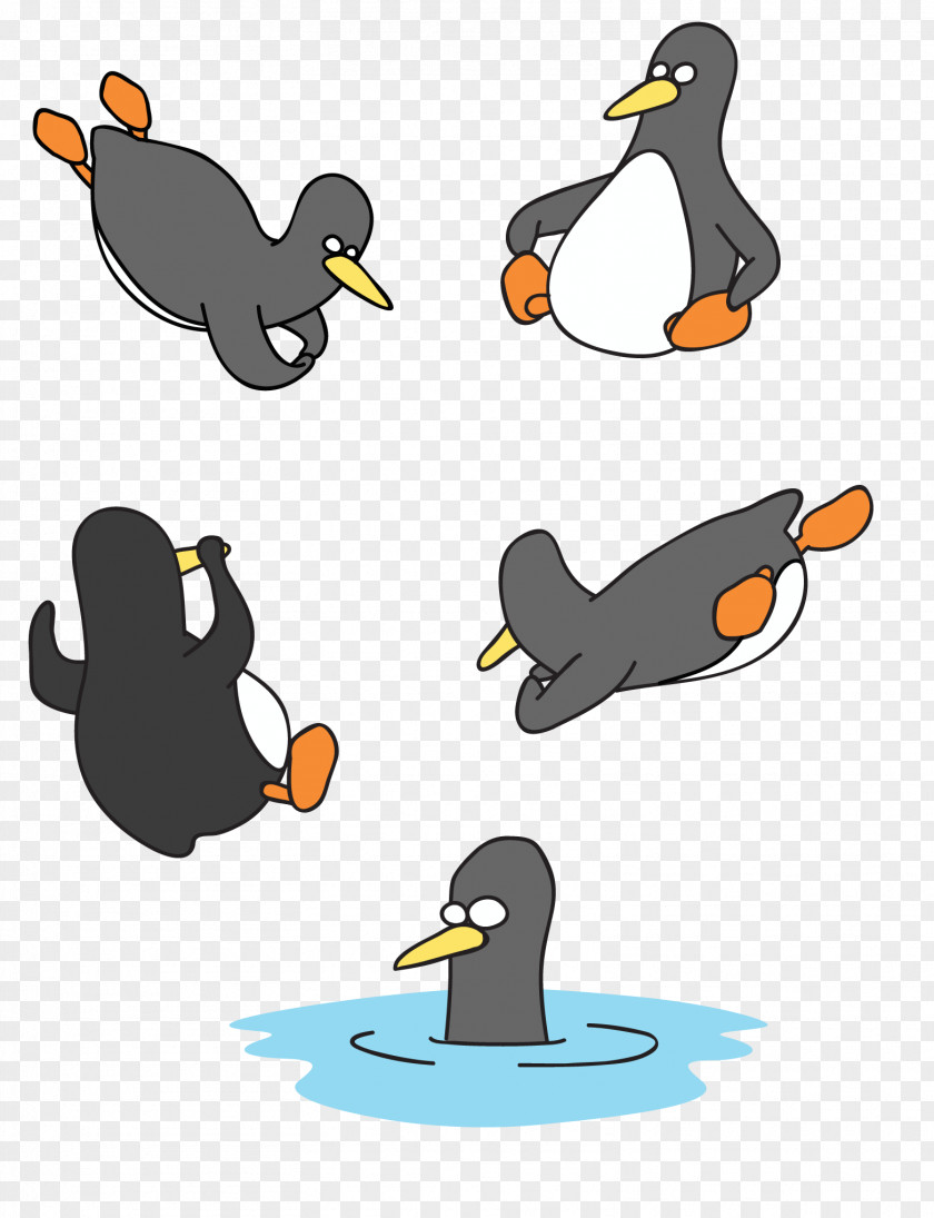 Few Penguins Penguin Clip Art PNG