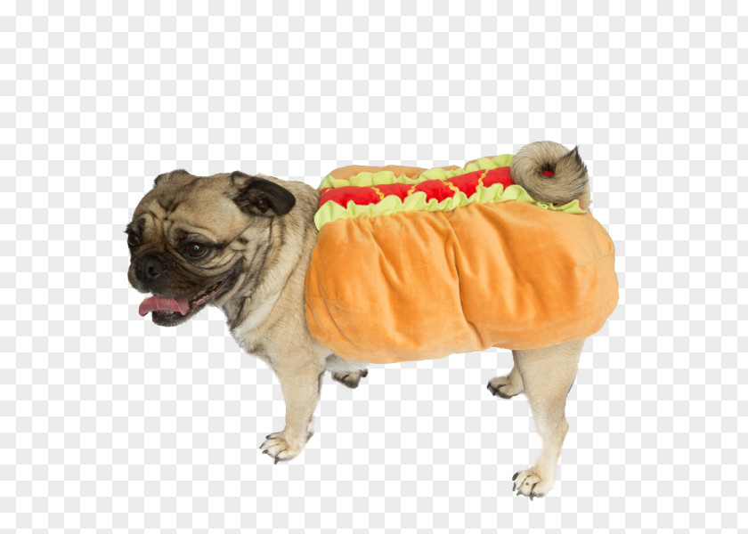Pet Clothing Pug Hot Dog Dachshund Breed Beagle PNG