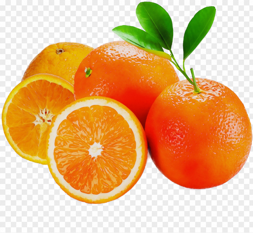 Rangpur Orange PNG
