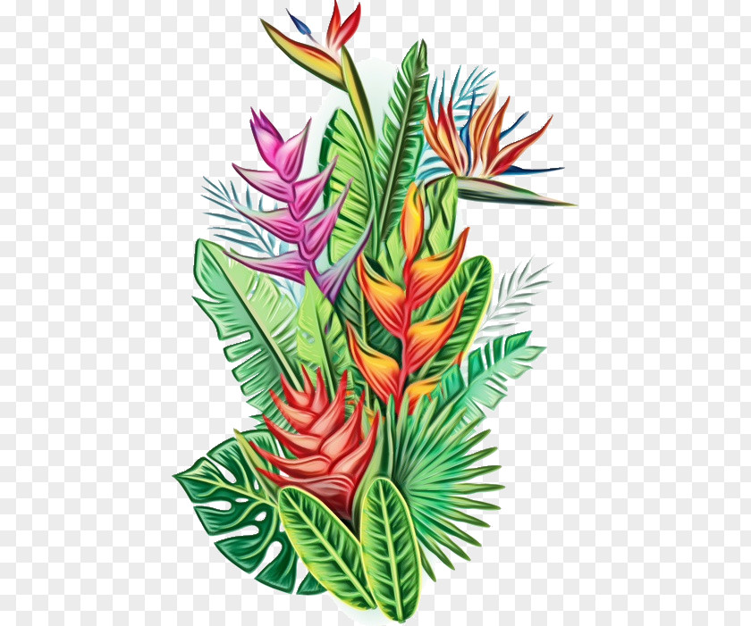 Anthurium Houseplant Flower Plant Leaf Heliconia Flowering PNG