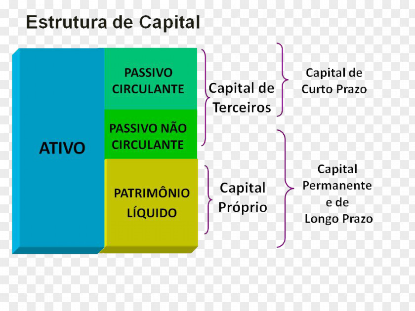 Business Working Capital Equity Cost Of PNG