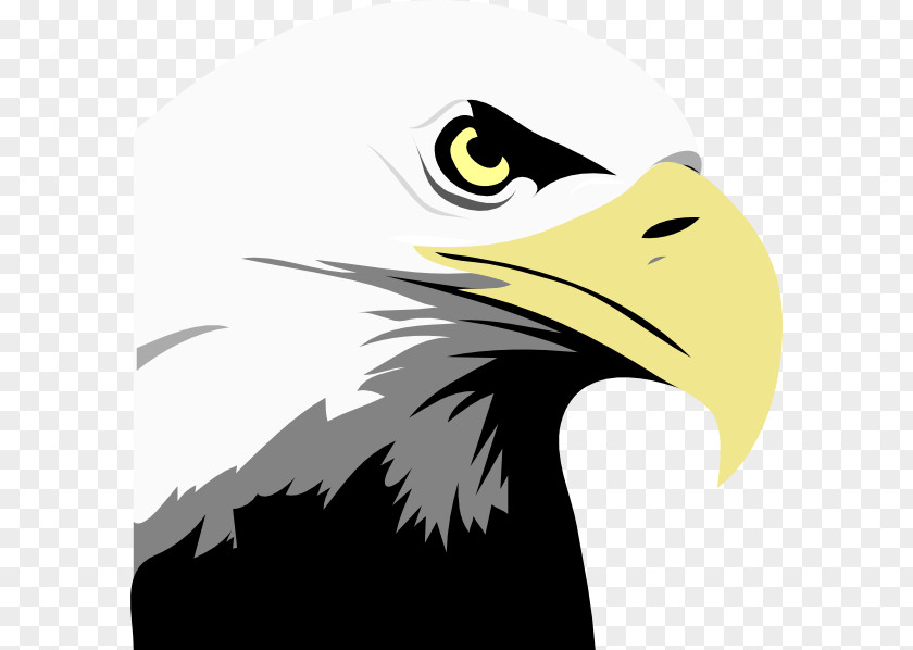 Fewer Cliparts Bald Eagle Royalty-free Clip Art PNG