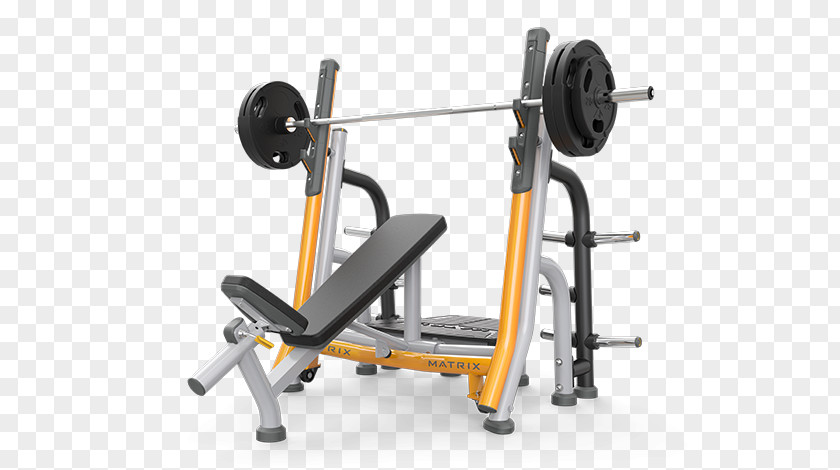 Fitness Equipment Bench Weight Training Centre Exercise Physical PNG