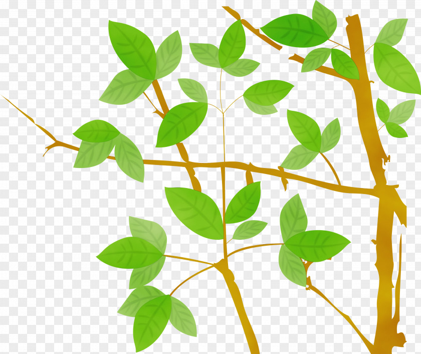 Flower Leaf Plant Stem Tree PNG