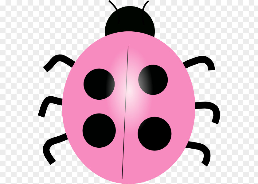 Free Ladybird Clip Art PNG