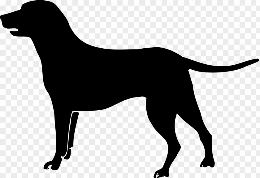 Golden Retriever Labrador Puppy Vizsla Boston Terrier PNG