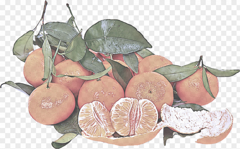 Grapefruit Vegetarian Food Leaf Fruit Plant Anthurium Tree PNG