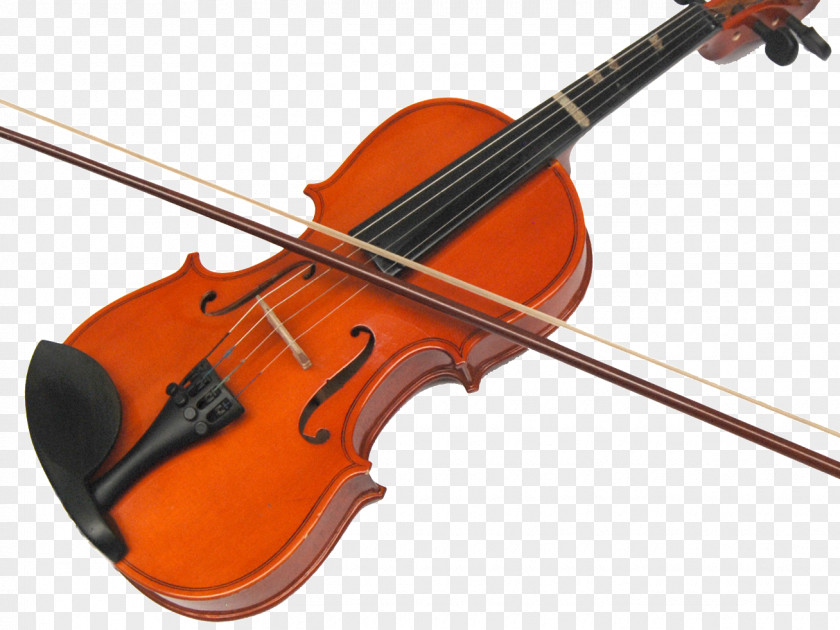 Musical Instruments Chordophone Violin Membranophone String PNG