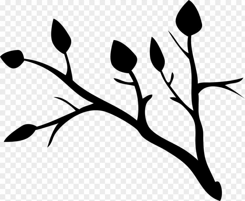 Branch Clip Art Tree Image Video PNG
