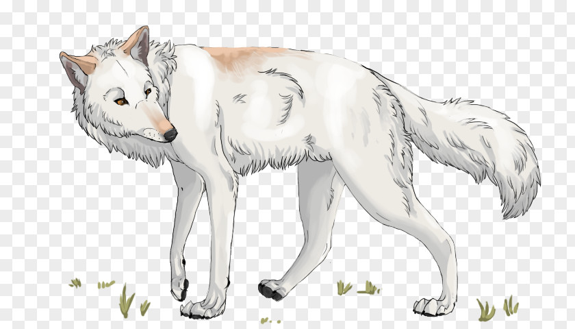 Cat Gray Wolf Fur Line Art Sketch PNG