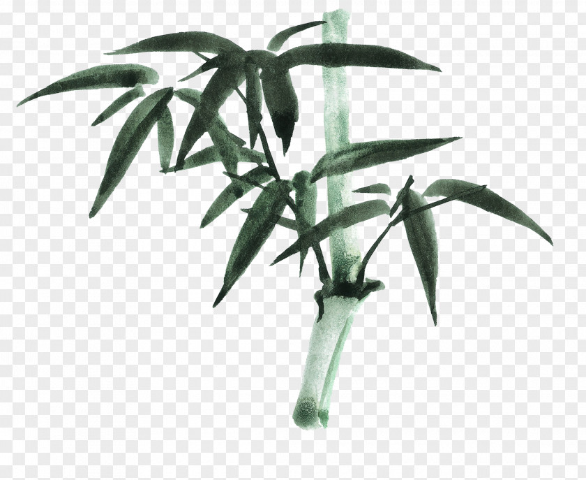 Green Bamboo Ink Wash Painting Chinese Inkstick PNG