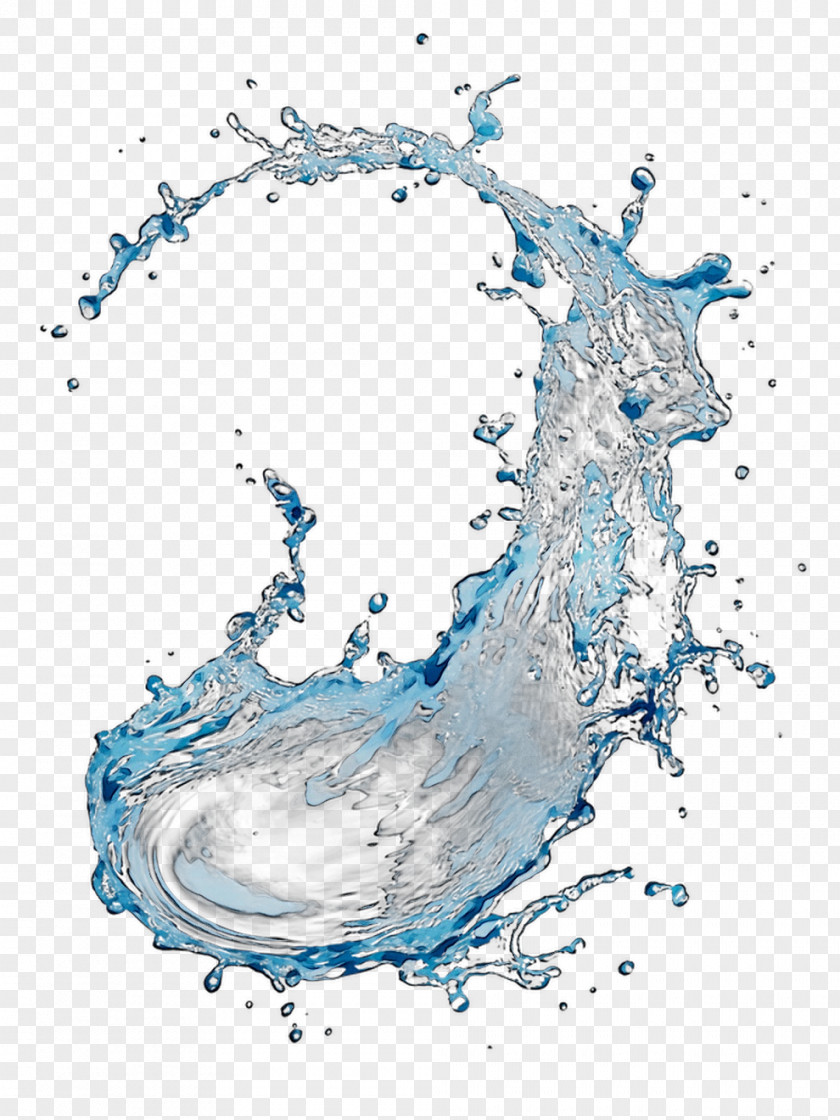 Illustration Graphic Design Water Resources Organism PNG