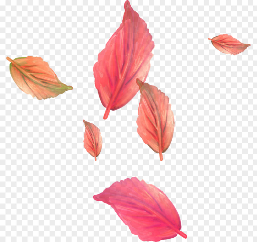 Leaf Lossless Compression Clip Art PNG
