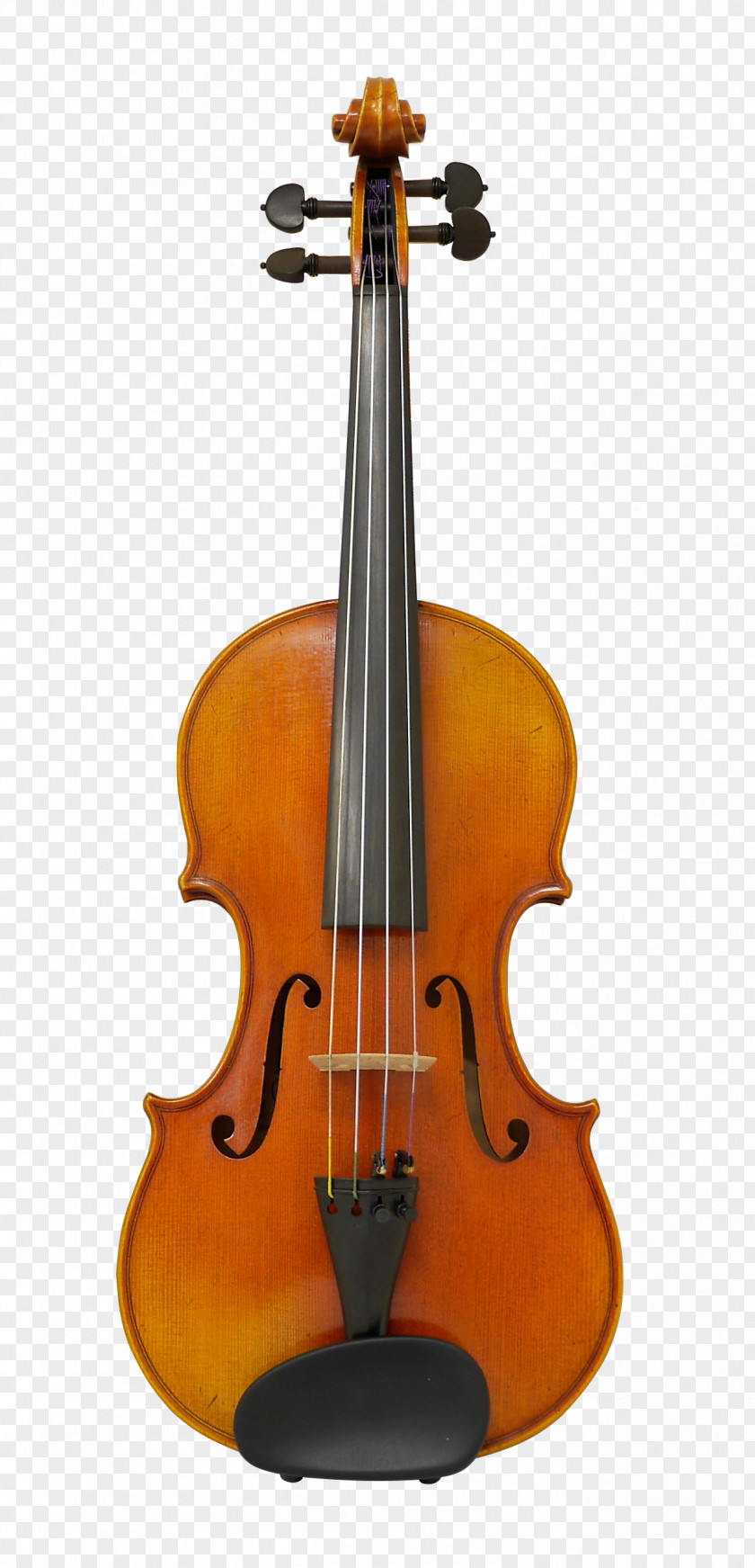 Piano Cello Violin Viola String Instruments Musical PNG