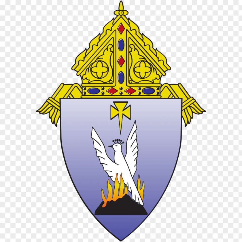 The Roman Catholic Diocese Of Phoenix Church Catholicism PNG