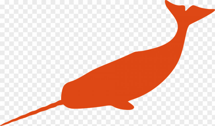 Whale Narwhal Drawing Clip Art PNG