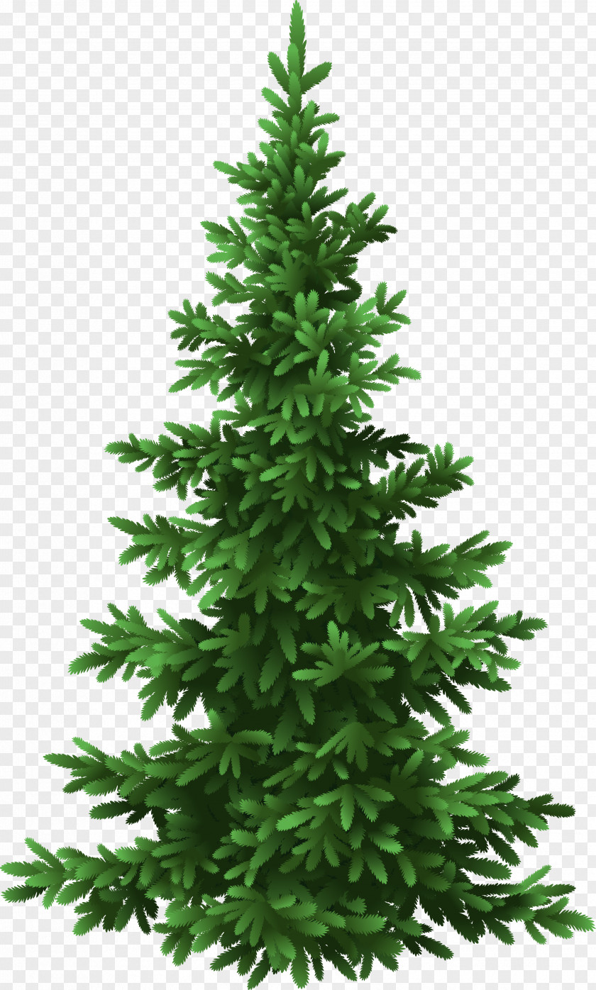 Fir-tree Fir Tree Pine Christmas PNG