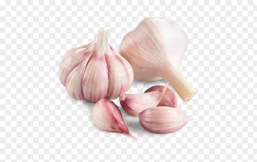 Garlic Shallot Vegetable Chives Human Papillomavirus Infection PNG