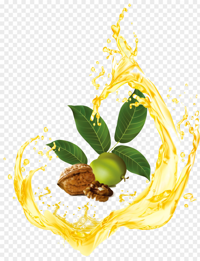 It Is Surrounded By Walnut Oil Eastern Black Clip Art PNG