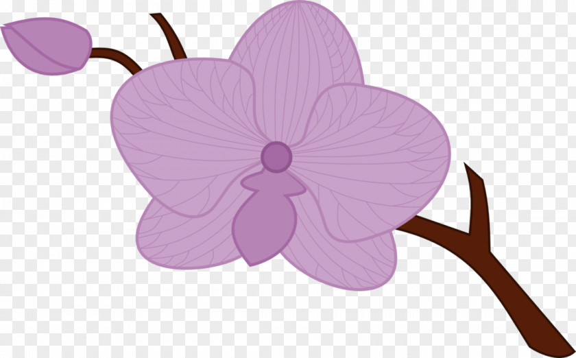 Lilac Drawing Orchids Clip Art PNG