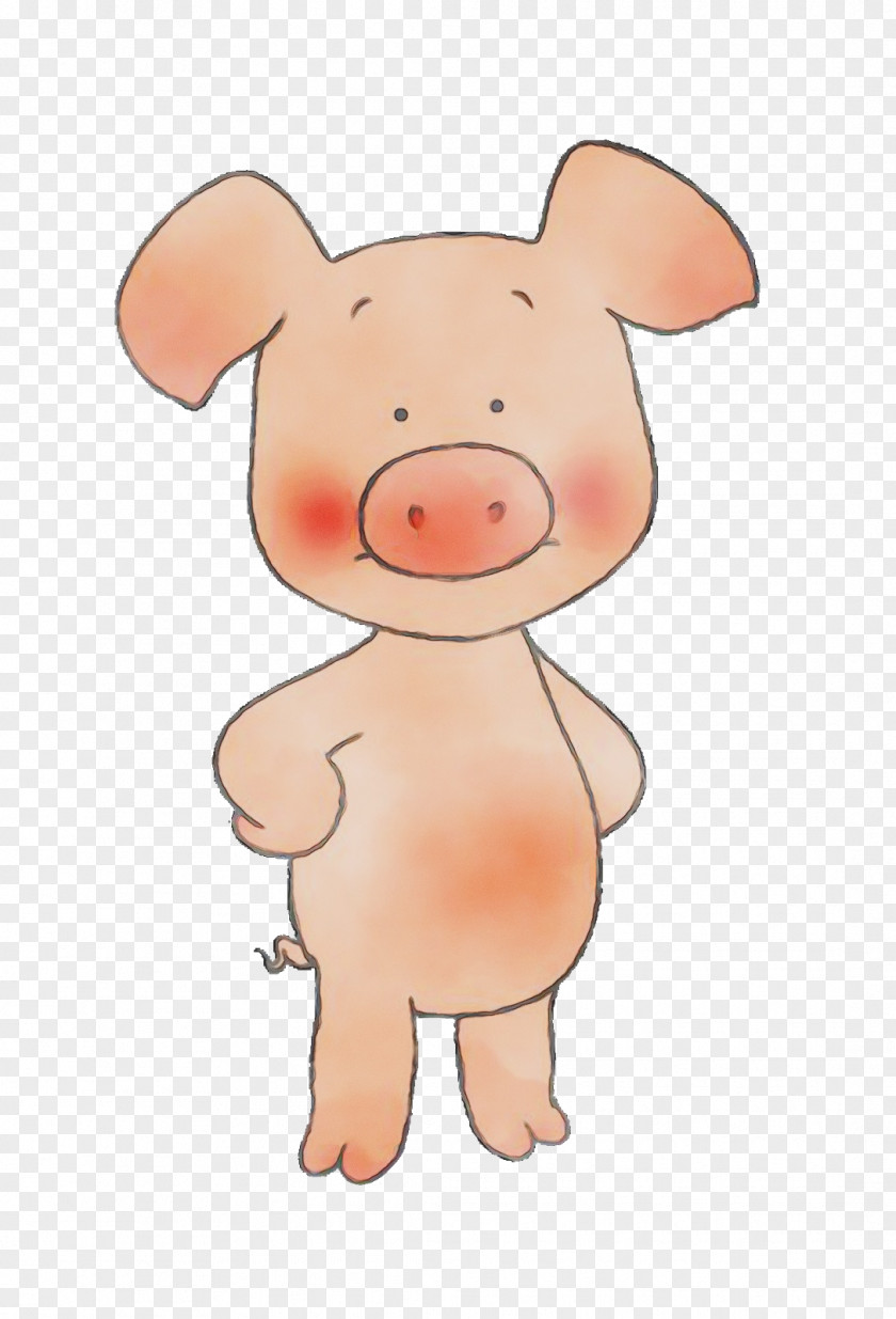 Animation Livestock Cartoon Domestic Pig Suidae Pink Nose PNG