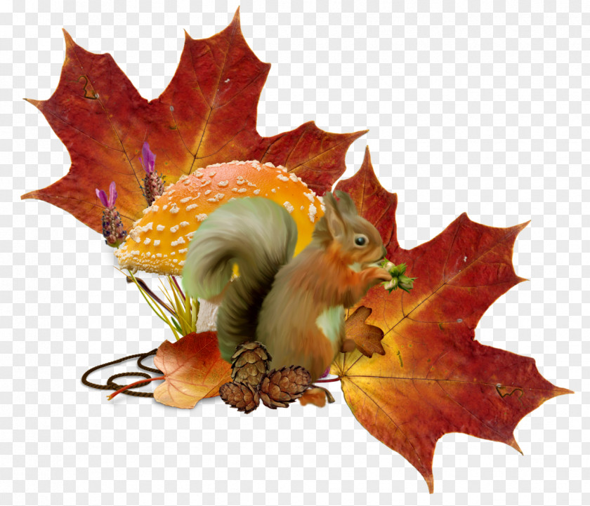 Autumn Illustration Tree Squirrel Hare Holiday PNG