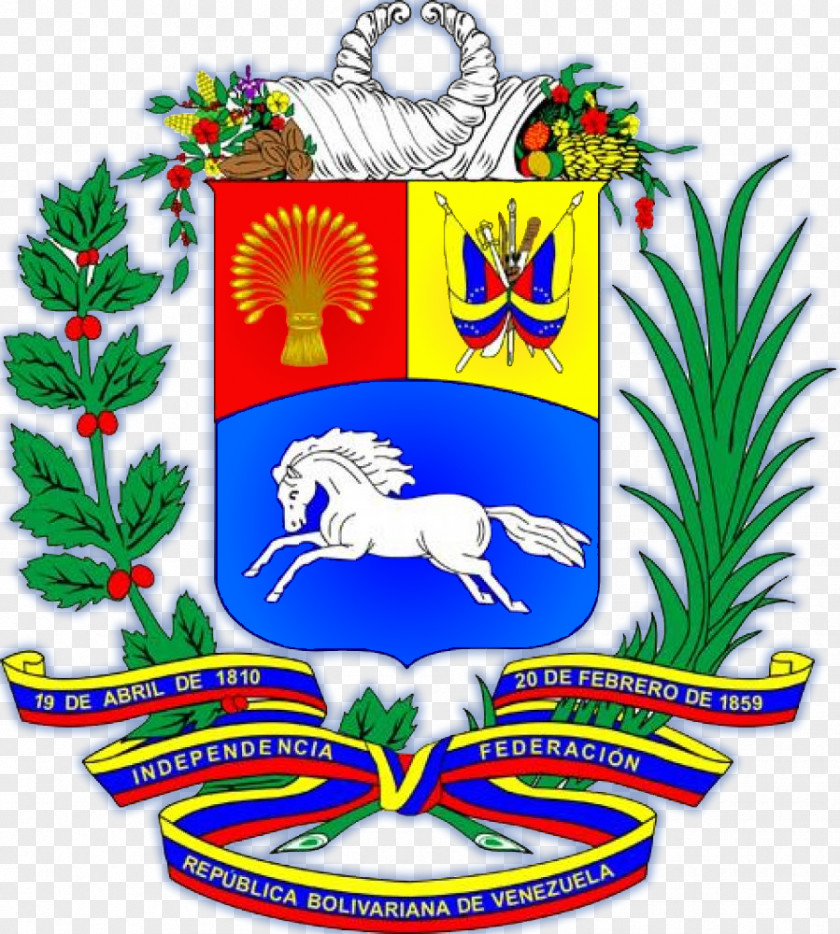 Bandera Del Peru Embassy Of Venezuela Coat Arms Flag PNG