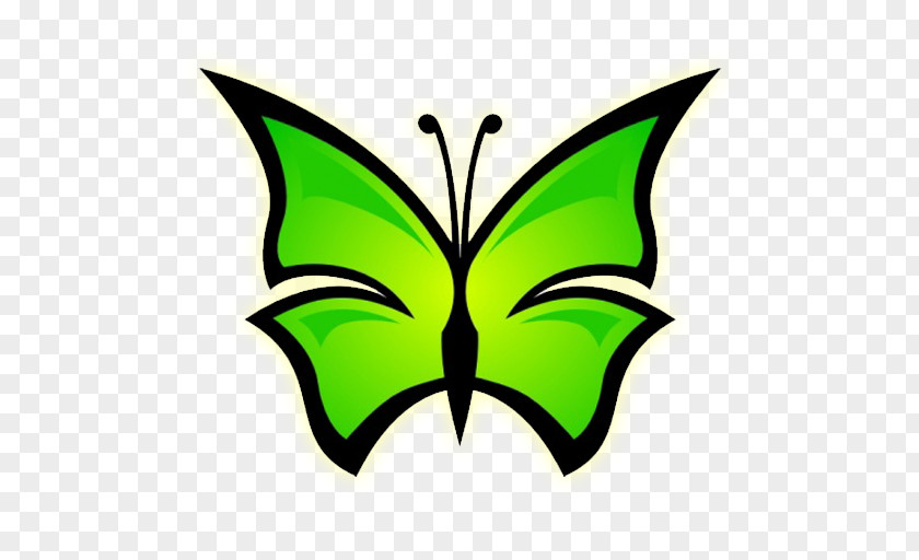 Butterfly Drawing Clip Art PNG