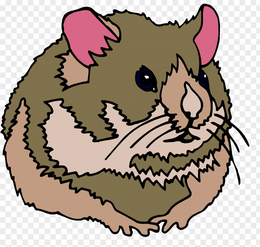 Cat Whiskers Microsoft PowerPoint Presentation SlideShare PNG
