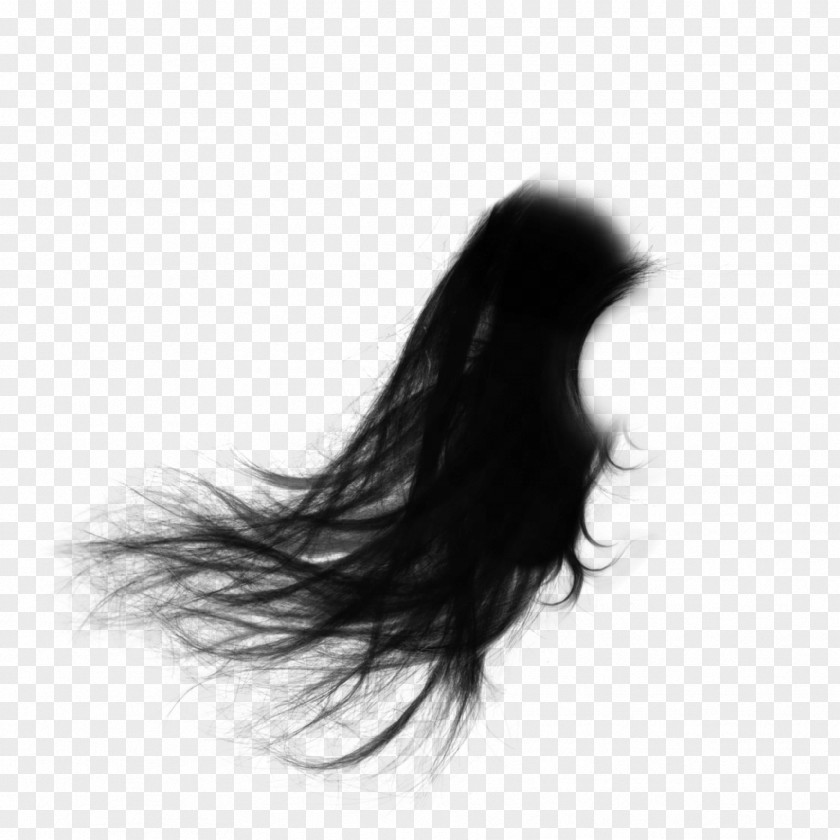 Elegant Scattering Hair Long PNG
