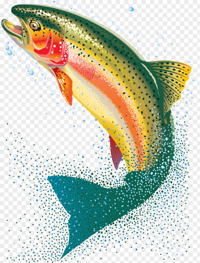 Fish Rainbow Trout Painting Clip Art PNG