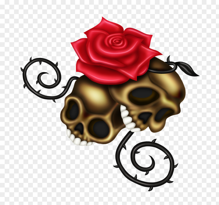 Flower Rose Family Floral Design Cut Flowers Skull PNG