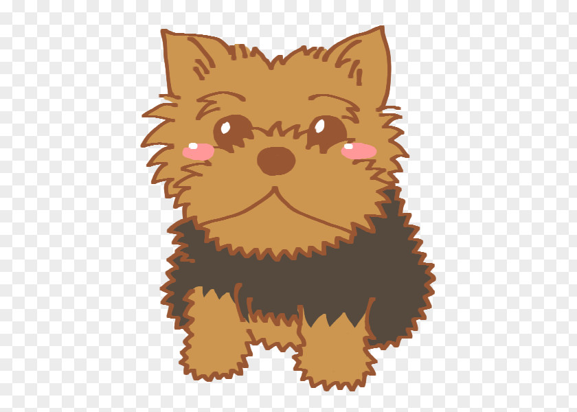 Puppy Yorkshire Terrier Dog Breed Toy Whiskers PNG