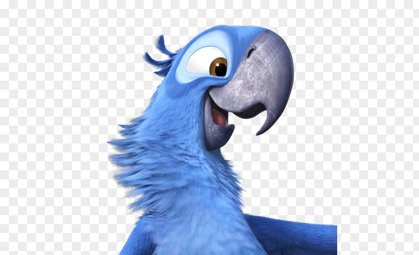 Rio2 Blu Macaw Parrot Wing Snout Parakeet PNG