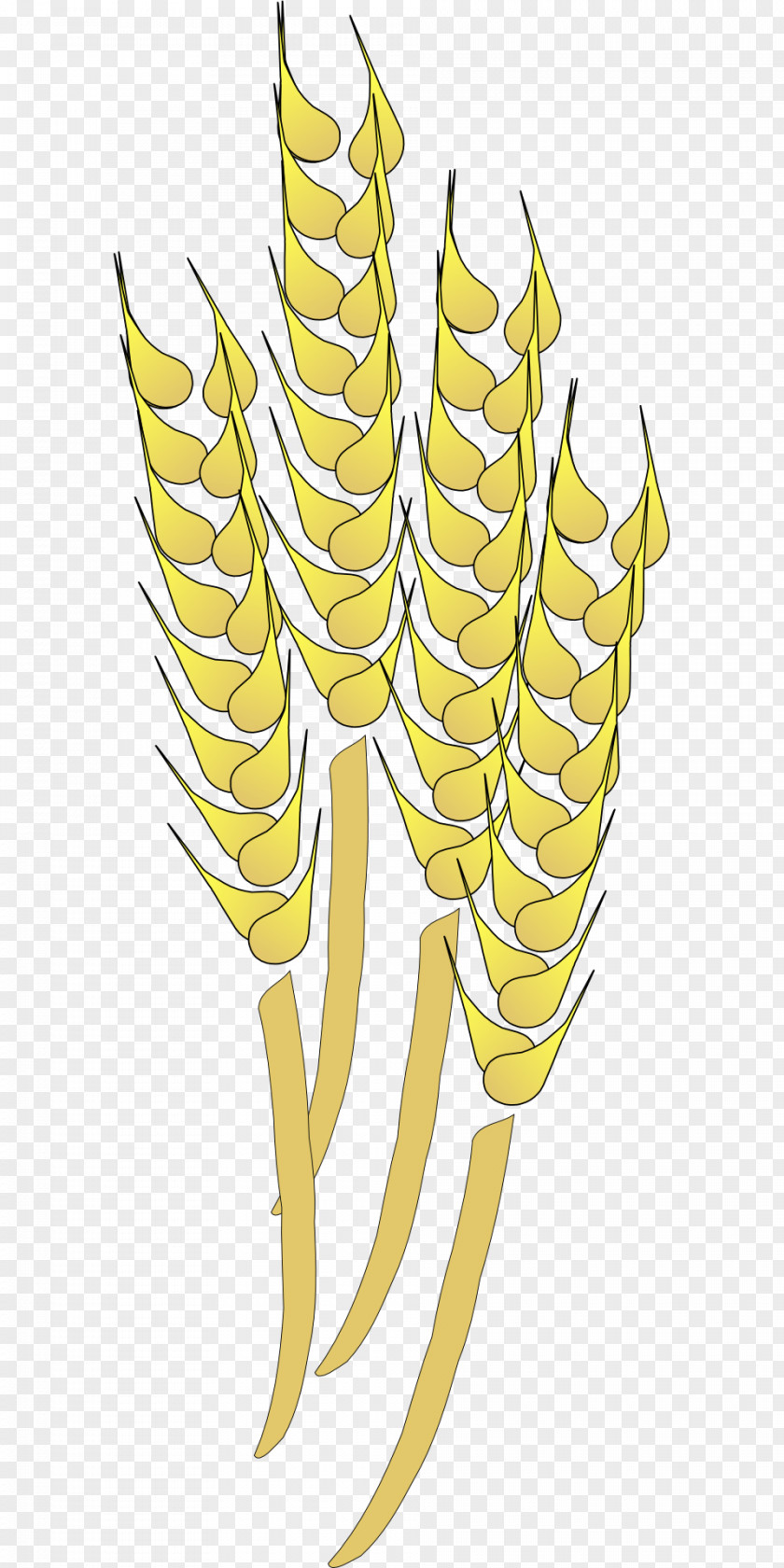 Wheat Clip Art Vector Graphics Image PNG