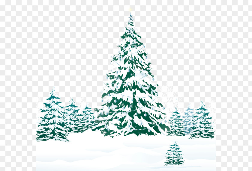Winter Tree Snow Pine Clip Art PNG