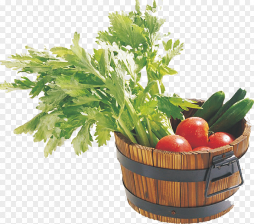 A Pot Of Vegetables Tomato U4e0au706b Vegetable Cucumber PNG