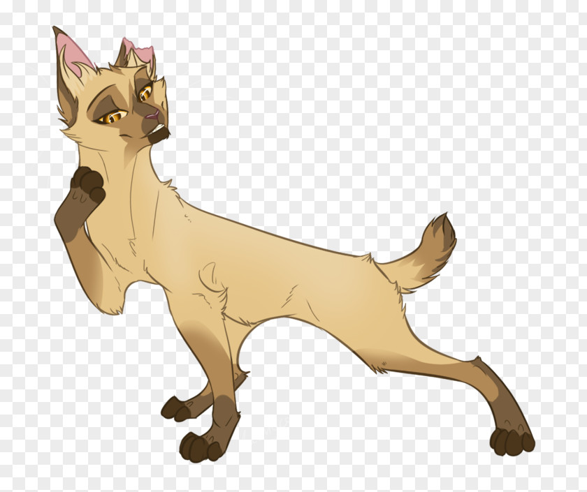 Cat Whiskers Warriors Character Leafpool PNG