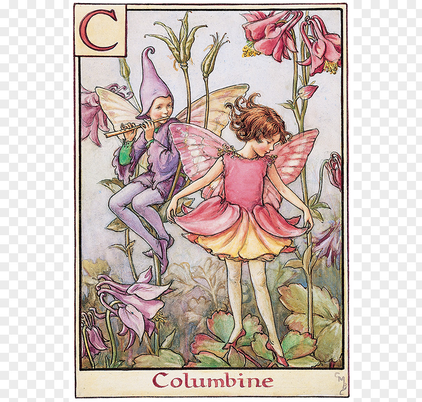 Fairy The Flower Fairies Alphabet Coloring Book A Of PNG