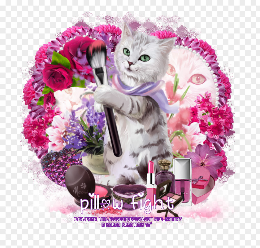 Pillow Fight Kitten Meow Cayenne Email Cut Flowers PNG