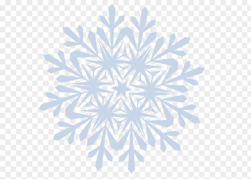 Plant Symmetry Snowflake PNG
