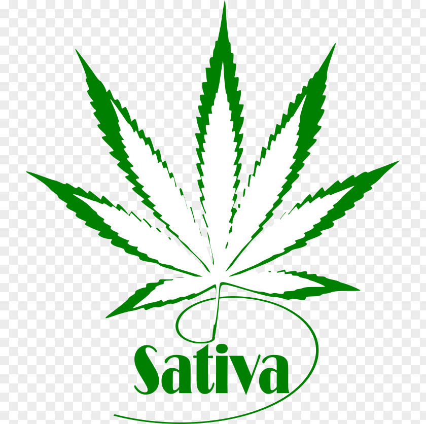 T-shirt Hoodie Cannabis Sativa Hoidised PNG