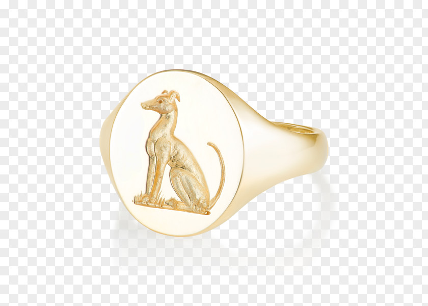 Whippet Body Jewellery PNG