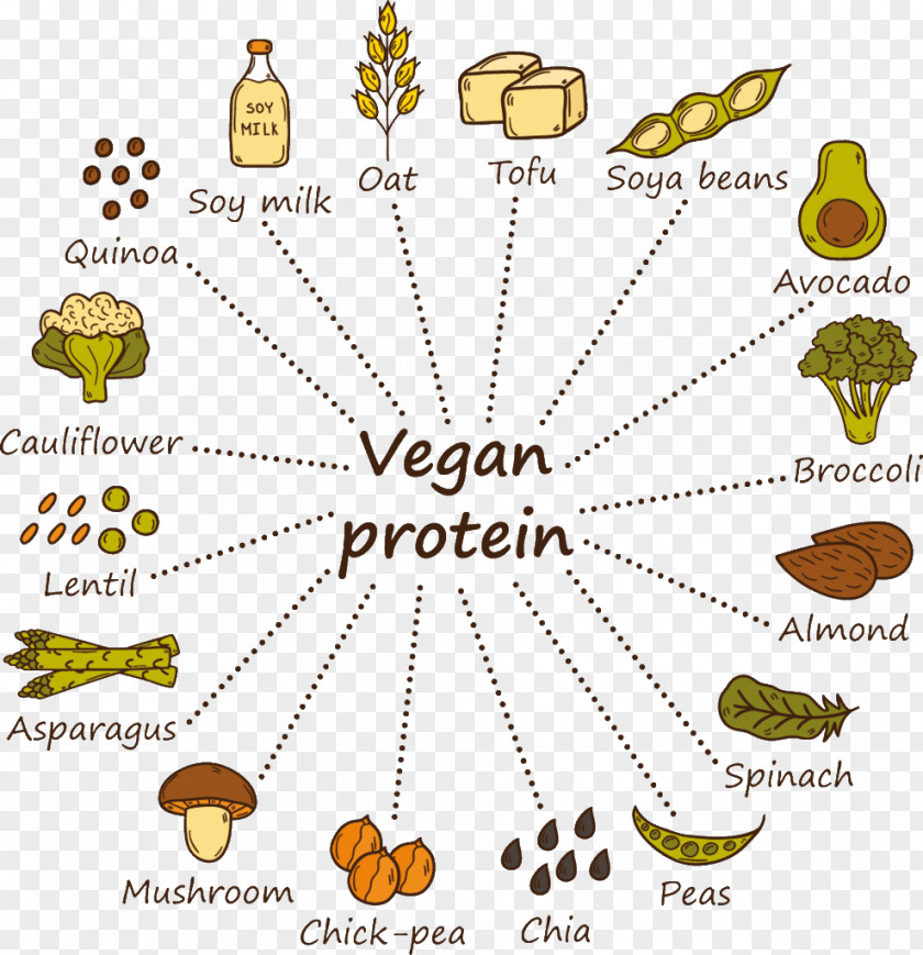 World Vegan Day Vegetarian Cuisine Soy Milk Protein Veganism Vegetarianism PNG